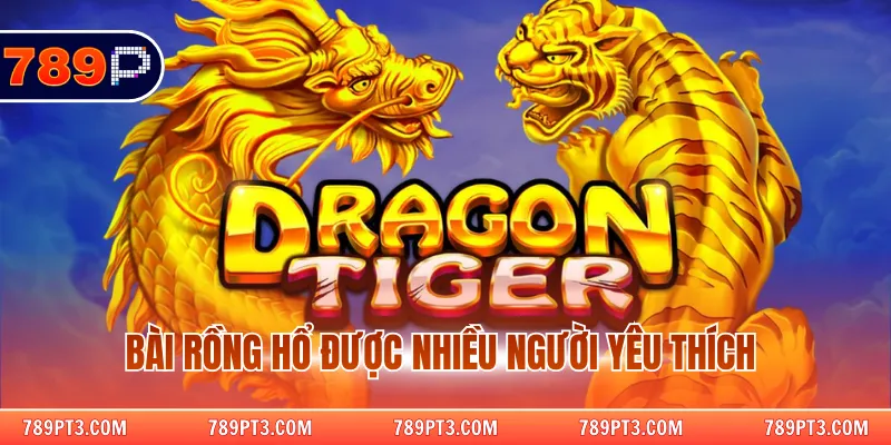 Bài rồng hổ nhận được sự yêu thích lớn